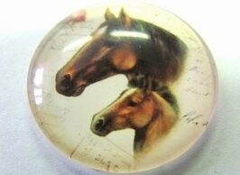 Kabošon 25 mm Koně - A50255